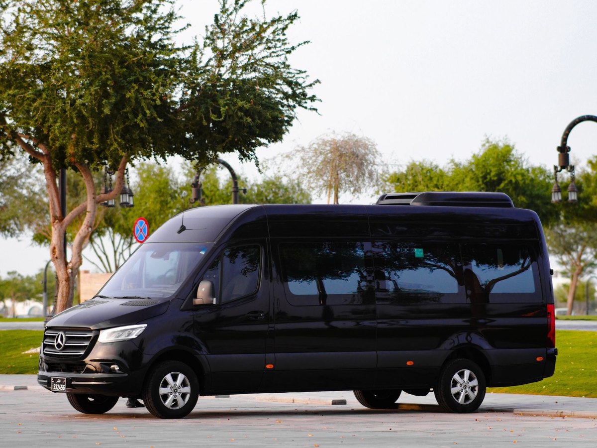 Mercedes-Benz Sprinter Passenger Van class car for private cross-border transfers, Platinumride fleet